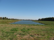 Lake Before